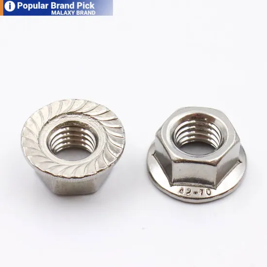 Malaxy Chinese Manufacture All Sizes Available M3-M60 Industrial Stainless Steel Hex Flange Bolt Nut
